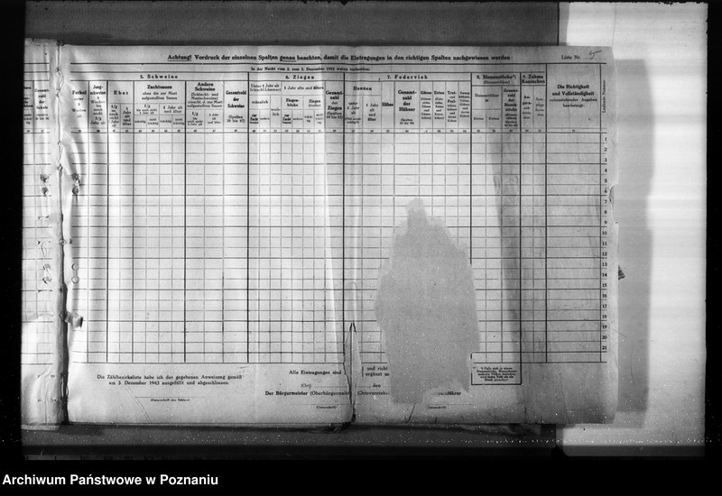 Obraz 10 z jednostki "Korespondencja, formularze i zestawienia wyników w zwiazku ze spisem bydła"