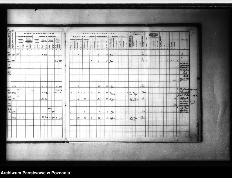 Obraz 11 z jednostki "/Zestawienie /wykaz/ rozdysponowania ziemi na cele parcelacyjne powiatu gostyńskiego"