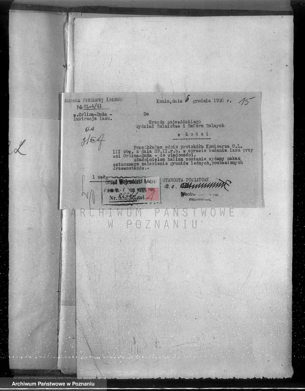 Obraz 19 z jednostki "Gmina Rzgów powiat koniński /nadzór nad gospodarką leśną/"