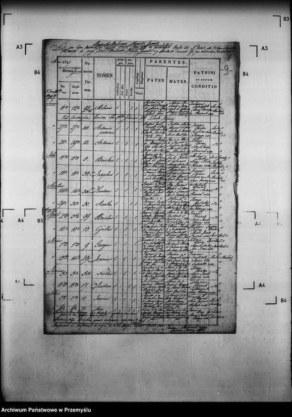 image.from.unit.number "[Kopie ksiąg metrykalnych parafii Jaworki z filiami Biała Woda, Czarna Woda (dekanat Muszyna)]"