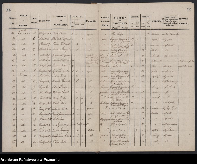 Obraz 9 z jednostki "Księga zgonów"