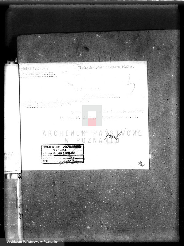 Obraz 7 z jednostki "Zalesienie nieużytków w powiecie międzychodzkim"