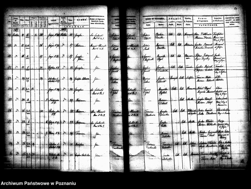 Obraz 8 z jednostki "Księga urodzin"