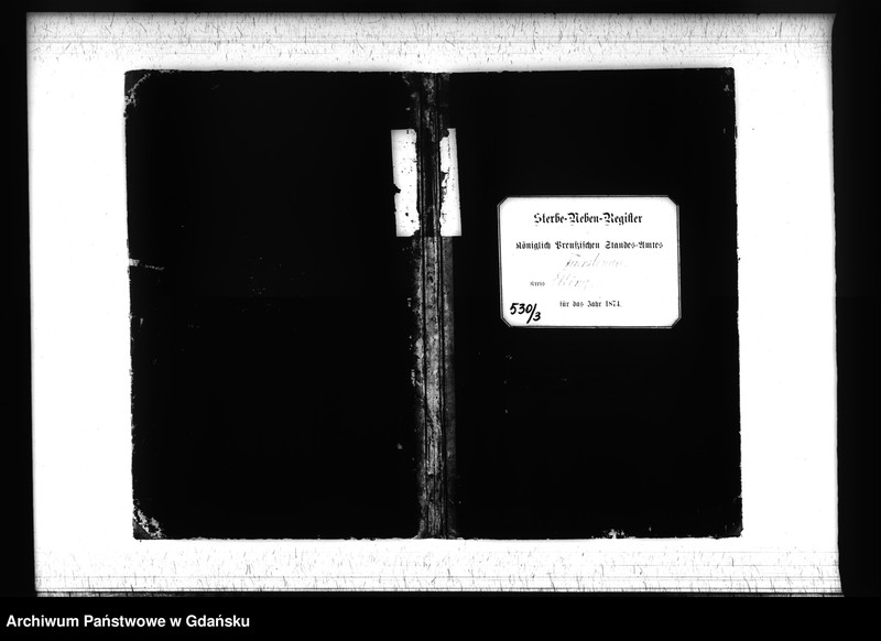 image.from.unit.number "Księga zgonów 1874 rok"