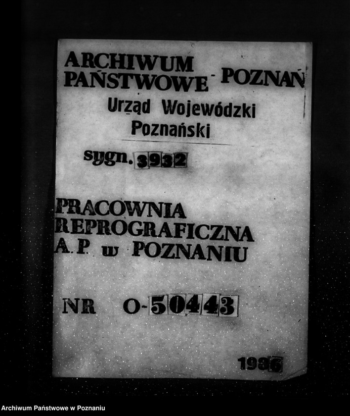 Obraz 1 z jednostki "Zalesienie nieużytków w powiecie tureckim"
