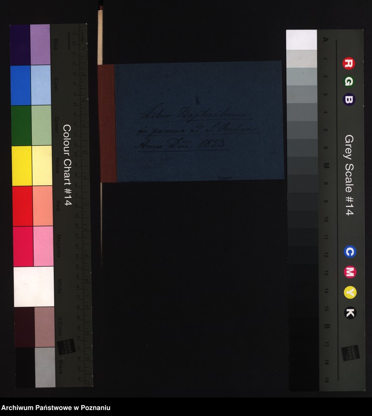 Obraz 3 z jednostki "Duplicat baptisatorum"