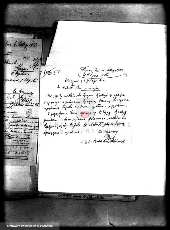 Obraz 18 z jednostki "Drzewostan w majętności państwowej Miniszew"