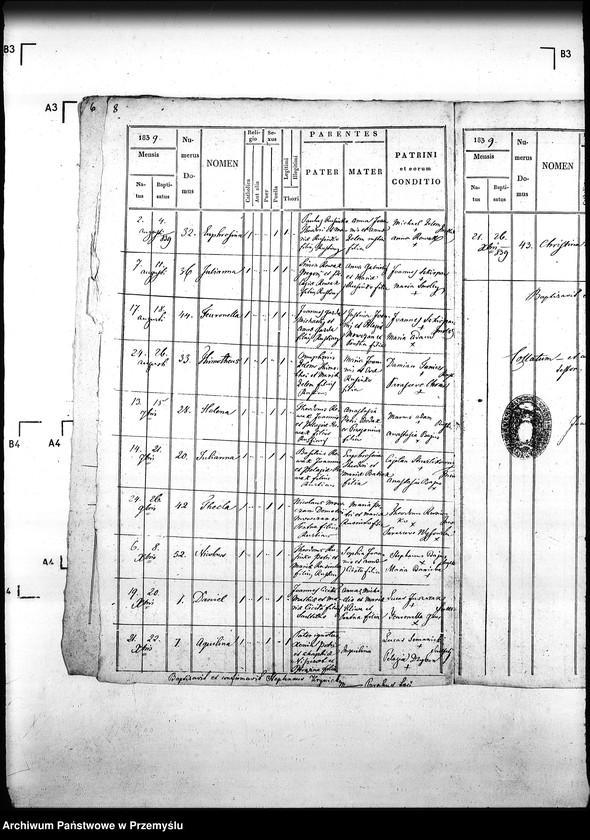 Obraz 12 z jednostki "[Kopie ksiąg metrykalnych parafii Małastów z filiami Ropica Ruska, Pętna (dekanat Gorlice)]"