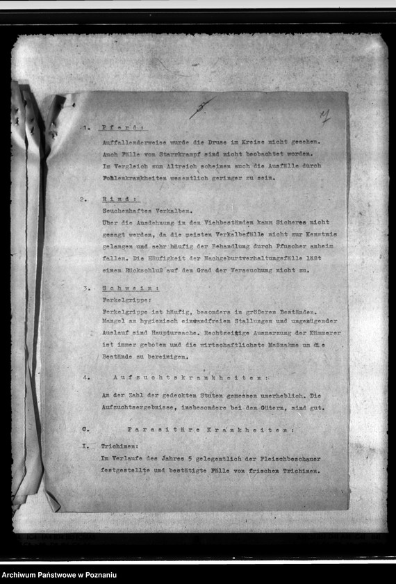 Obraz 11 z jednostki "Jahresveterinärbericht der Regierungs- Veterinärratstelle des Kreises Hermannsbad"