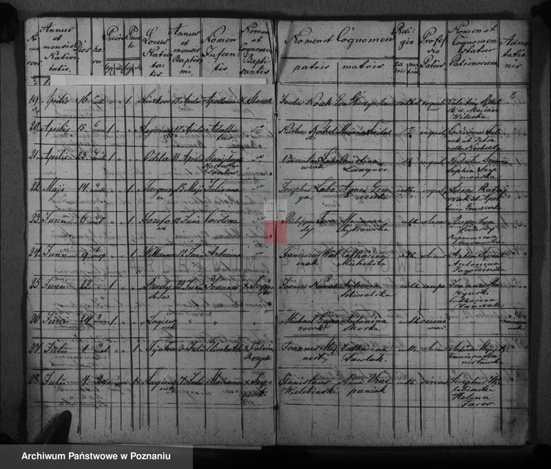 image.from.unit.number "Księga urodzeń, małżeństw i zgonów"