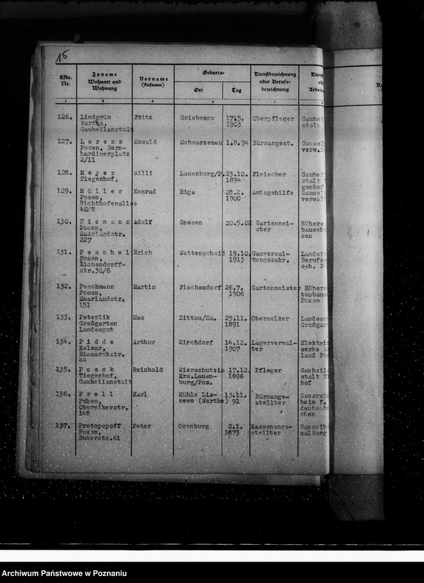 Obraz 19 z jednostki "Kriegsverdienstkreuze- öffentlicher Dienst"