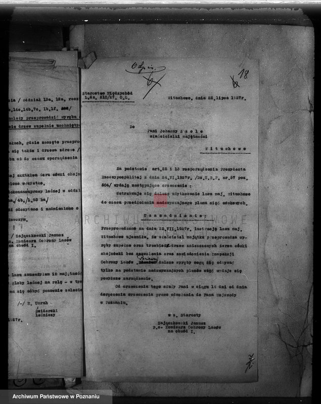 Obraz 20 z jednostki "Majętność Wituchowo w powiecie międzychodzkim"