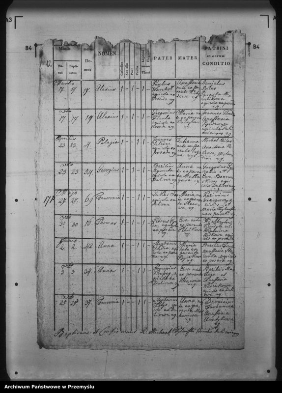 Obraz 16 z jednostki "[Kopie ksiąg metrykalnych parafii Daliowa z filią Szklary (dekanat Rymanów)]"
