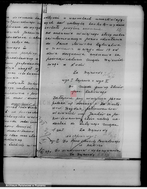 Obraz 16 z jednostki "Sprawy nieprawnych wyrębów lasu w majątku Janków w powiecie kaliskim"