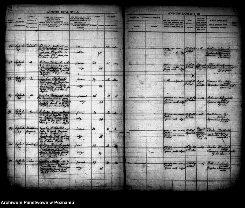 Obraz 13 z jednostki "Księga małżeństw"