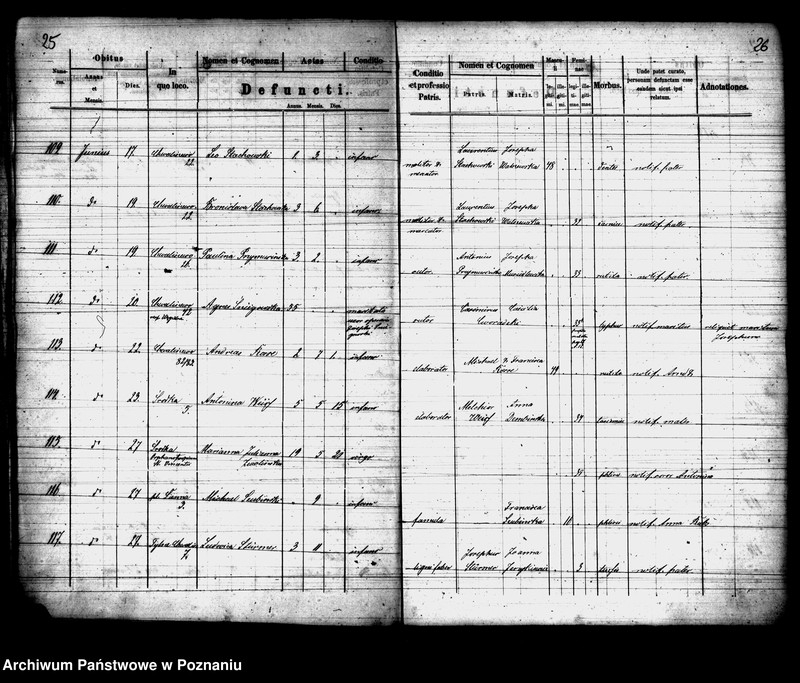 Obraz 14 z jednostki "Księga zgonów"