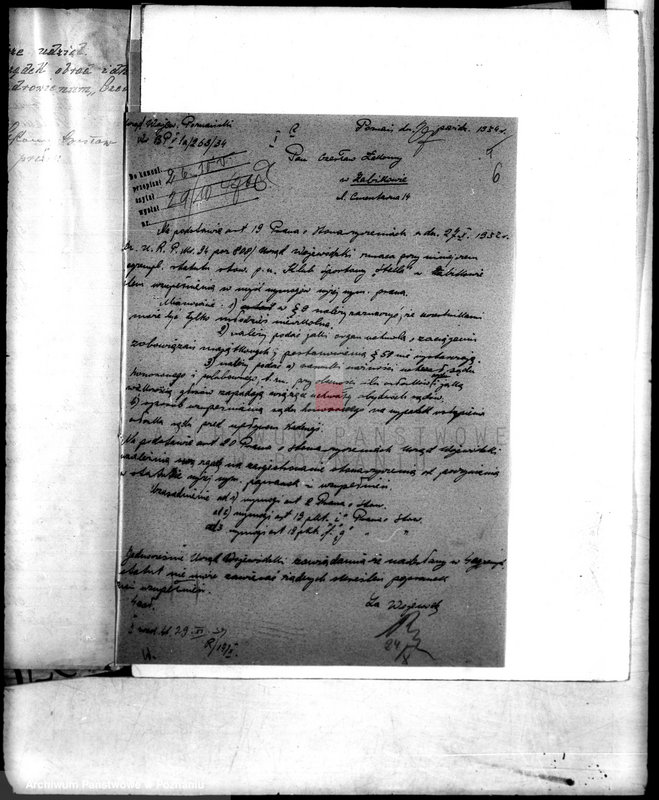 Obraz 10 z jednostki "Klub Sportowy,,Stella" w Żabikowie/"