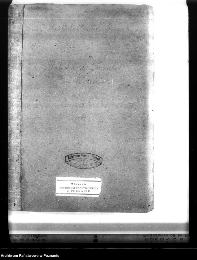 Obraz 4 z jednostki "Statistik der Krankheiten im Wartheland"