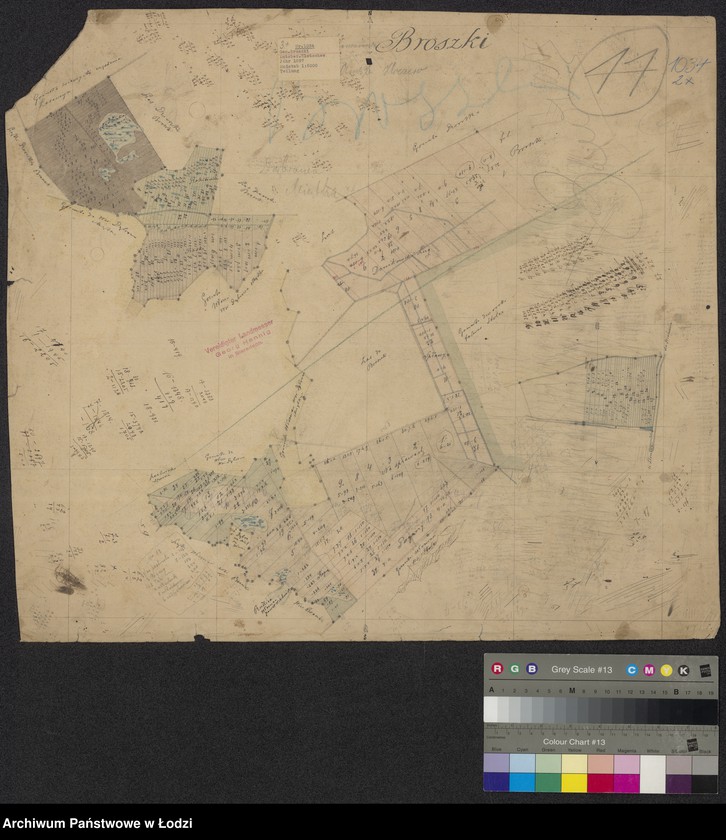Obraz 1 z jednostki "Plan gruntów wsi Broszki w gminie Złoczew"