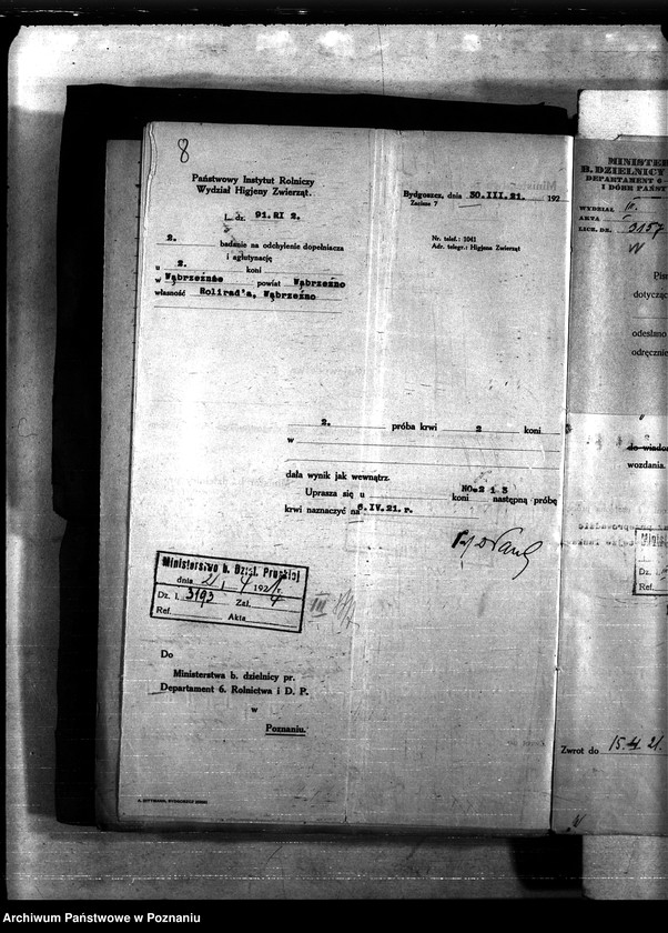 Obraz 12 z jednostki "Nosacizna - Wąbrzeźno"