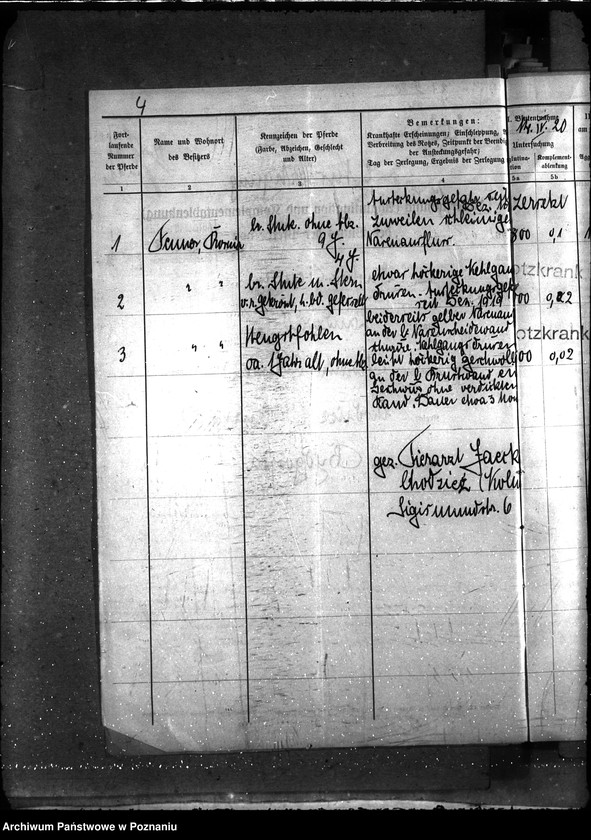 Obraz 9 z jednostki "Nosacizna - Chodzież"