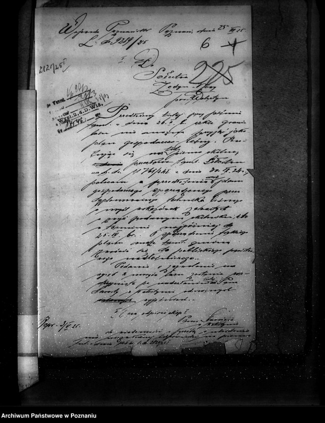 Obraz 10 z jednostki "Las gromady Żodyń Nowy powiat wolsztyński"