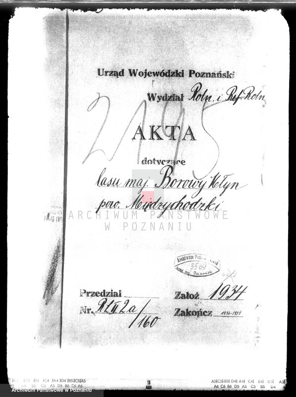 Obraz 4 z jednostki "Las majątku Borowy Młyn powiat międzychodzki"