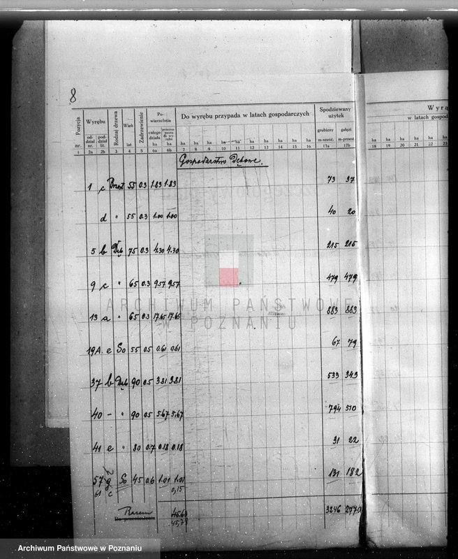 Obraz 12 z jednostki "Plan urządzenia gospodarstwa leśnego lasu majętności Dakowsko-Wojnowickiej w powiecie nowotomyskim"