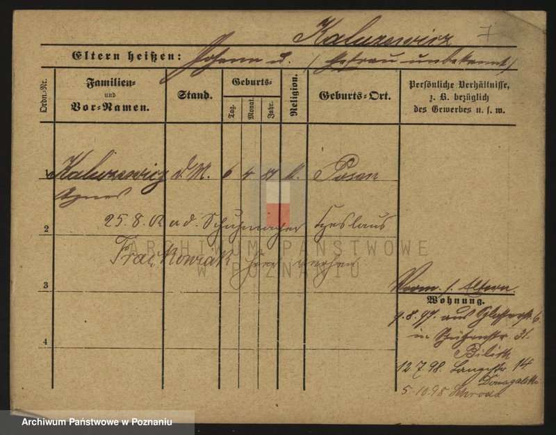 Obraz 7 z jednostki "Kałużewicz - Kaminowski"