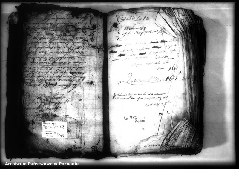 Obraz 3 z jednostki "Relationes [protocollon]"