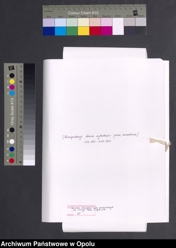 Obraz 2 z jednostki "Sorties /Korespondencja własna wychodząca - pisma, zarządzenia/ 1.02.1921 - 14.04.1921"