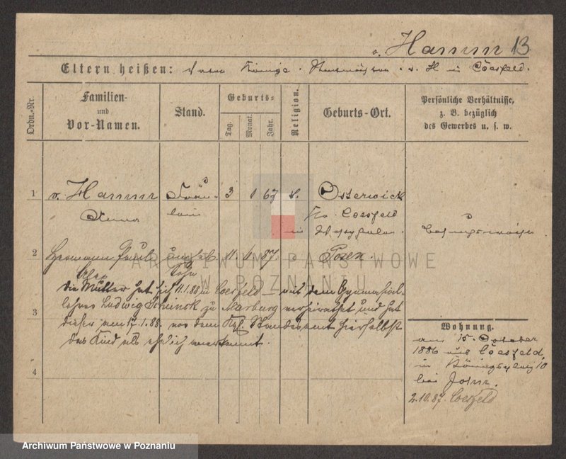 Obraz 13 z jednostki "Ham - Hamzykiewicz"