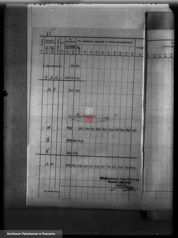 Obraz 19 z jednostki "Plan urządzenia gospodarstwa leśnego dla lasu majętności Zbąszyn-Perzyny powiat nowotomyski 1929-1939"