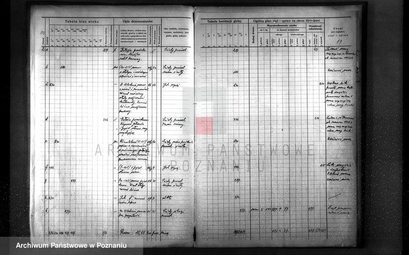 image.from.unit.number "Plan urządzenia gospodarstwa leśnego dla lasu majętności Otto Qiurama w gminie Piotrowo powiat szamotulski"