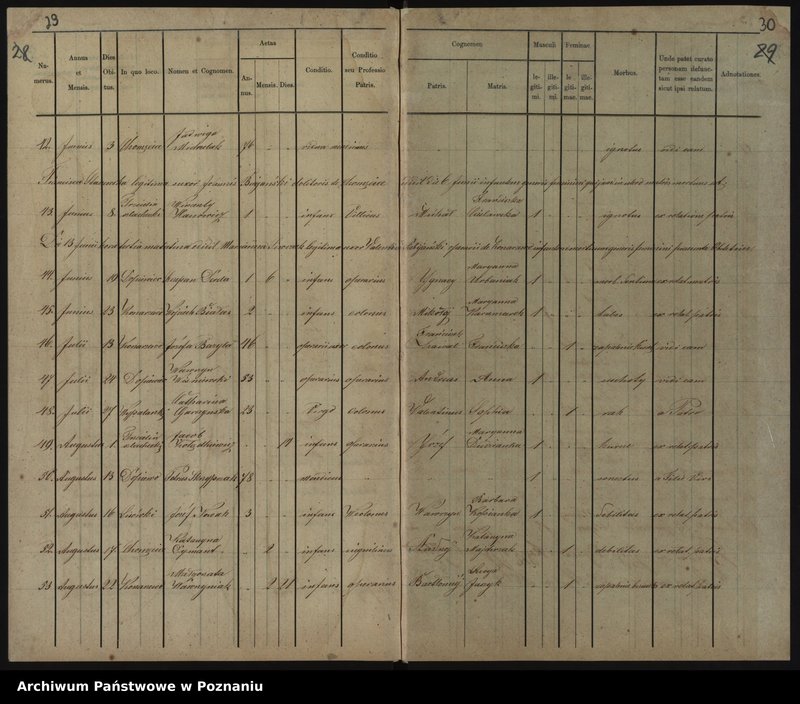 image.from.unit.number "Duplikat baptisatorum, copulatorum, mortuorum"