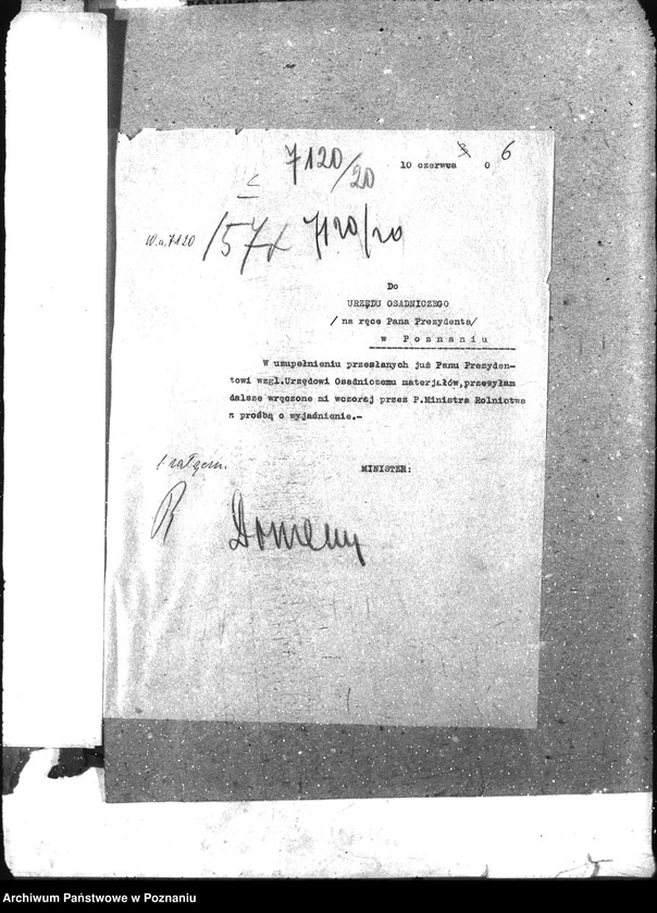 Obraz 10 z jednostki "Domeny"