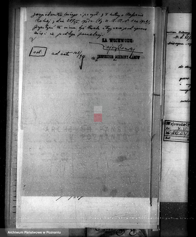 Obraz 11 z jednostki "Majętność leśna Dzięczyna w powiecie gostyńskim"