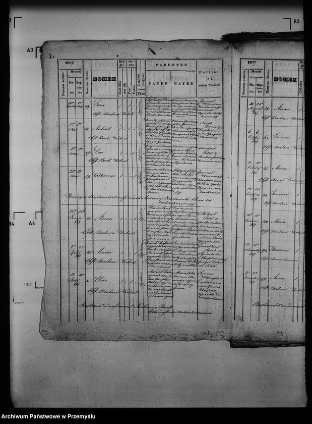 Obraz 7 z jednostki "[Kopie ksiąg metrykalnych parafii Mołoszkowice z filią Leśniowice (dekanat Jaworów)]"
