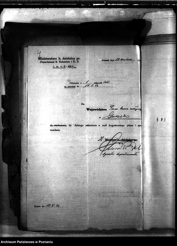 Obraz 8 z jednostki "Nosacizna - Grudziądz"