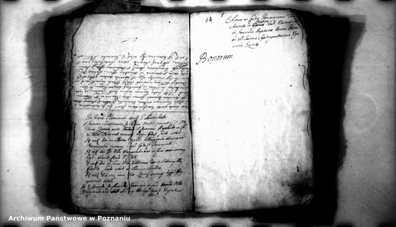 Obraz 5 z jednostki "Relationes [protocollon]"