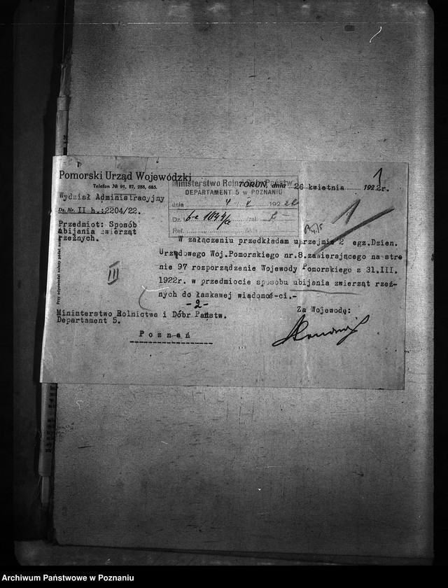 Obraz 5 z jednostki "Ubój zwierząt rzeźnych"