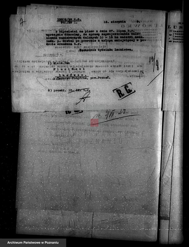 Obraz 11 z jednostki "Zarząd majętności Lusówko powiat poznański/ nadzór nad gospodarką leśną/"