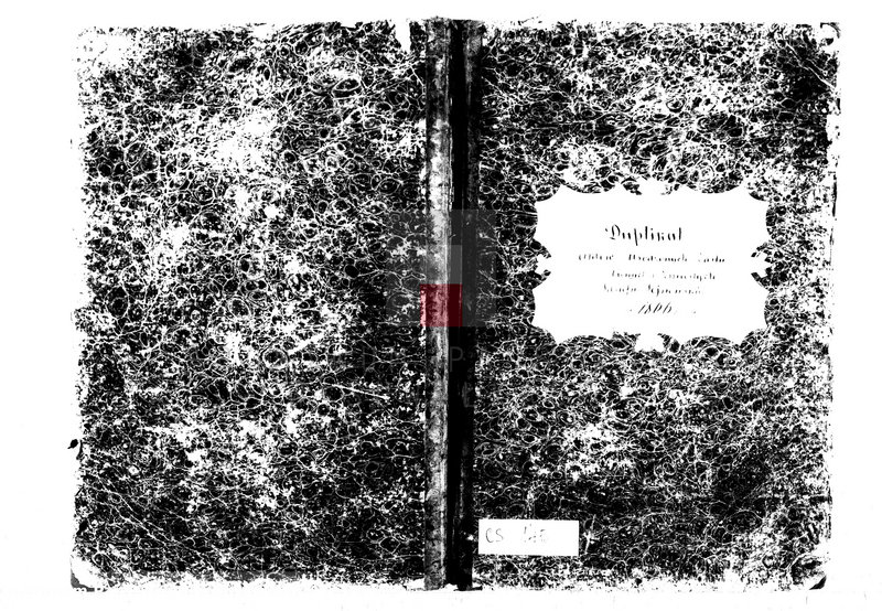 image.from.unit.number "Duplikat aktów urodzonych, zaślubionych i zmarłych parafii sejneńskiej w 1866 roku"
