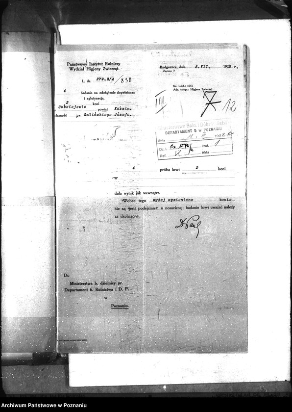 Obraz 18 z jednostki "Nosacizna - Koźmin"