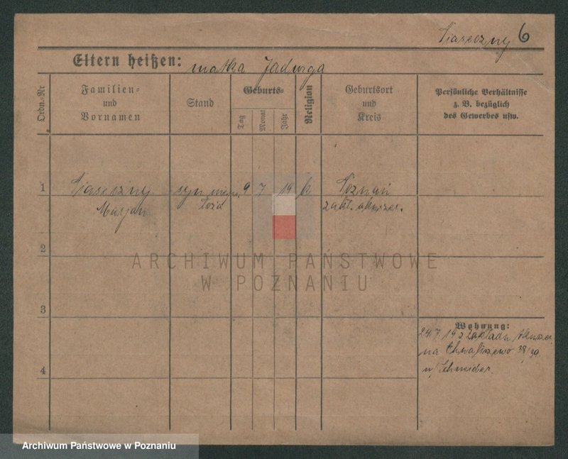 Obraz 8 z jednostki "Piaseczny - Piątkowiak"