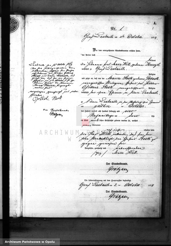 Obraz z jednostki "Geburts-Neben-Register des Standes Amtes Leubusch Kreis Brieg Jahrgang 1874"