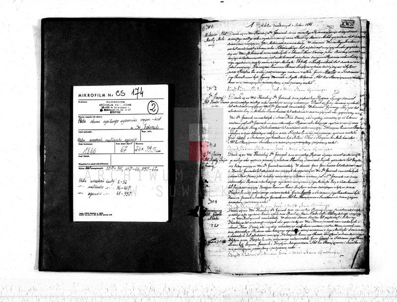 Obraz 3 z jednostki "Akta stanu cywilnego parafij Św. Jeziorskiej urodzonych, zaślubionych i umarłych z roku 1866"
