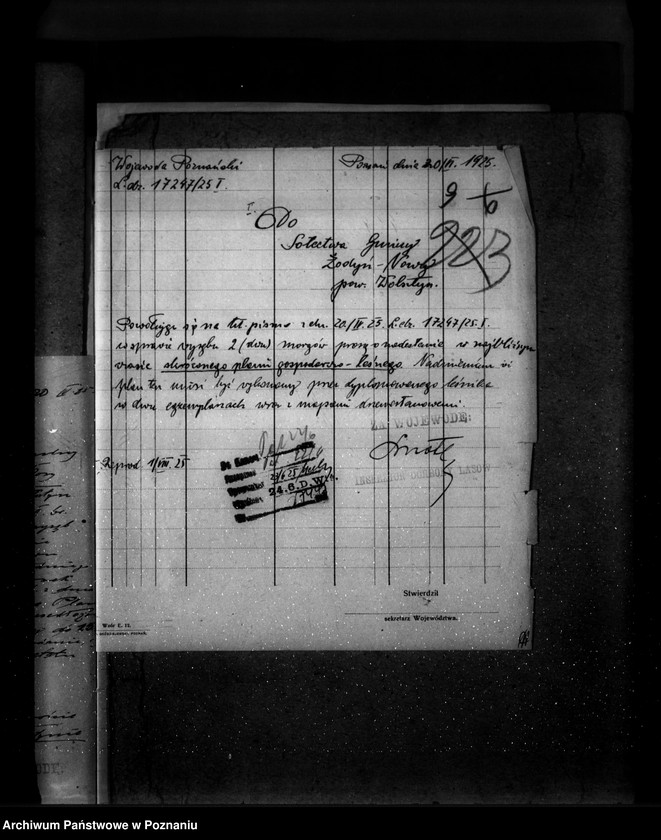 Obraz 13 z jednostki "Las gromady Żodyń Nowy powiat wolsztyński"