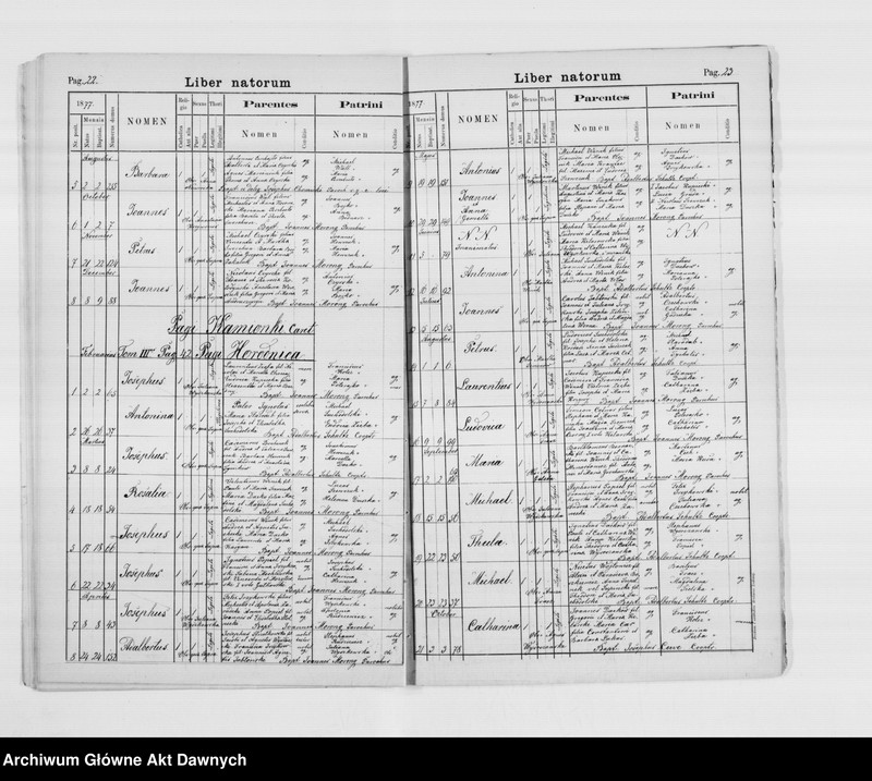 image.from.unit.number "Parafia: Skałat. Dekanat: Skałat. Kopie z ksiąg metrykalnych ur., śl., zg. dla całej parafii (miasto Skałat i wsie)."