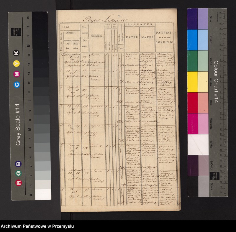 image.from.unit.number "Extractus ex libris metricalibus natorum, copulatorum et mortuorum ecclesia parochialis r.l. Łukawicensis pro anno solari 1845. Pagi: Łukawiec, Bihale, Szczutków cum Ruda Szczutkowska, Nowa Grobla, Kobylnica Ruska cum Wołoska [Wyciąg z ksiąg metrykalnych urodzeń, małżeństw i zgonów parafii obrządku łacińskiego w Łukawcu za rok 1845 wsie – Łukawiec, Bihale, Szczutków z Rudą Szczutkowską, Nowa Grobla, Kobylnica Ruska i Wołoska]"